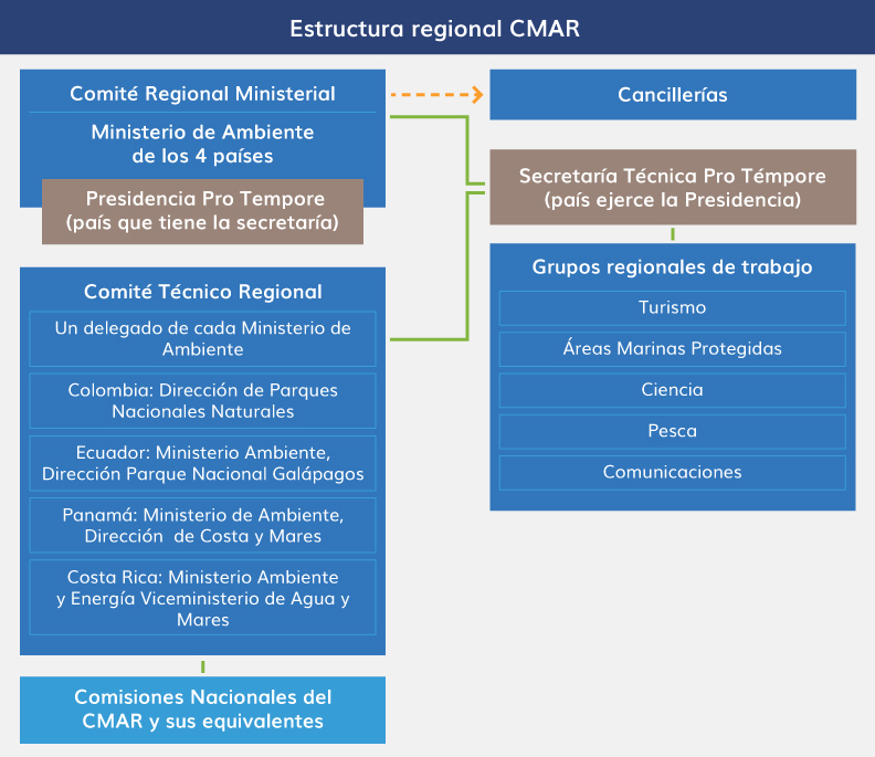 Estructura organizacional CMAR