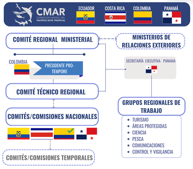 Estructura del CMAR